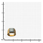 Matte Gold Ip Signet Rings With Polished Hematite (fr22079g)