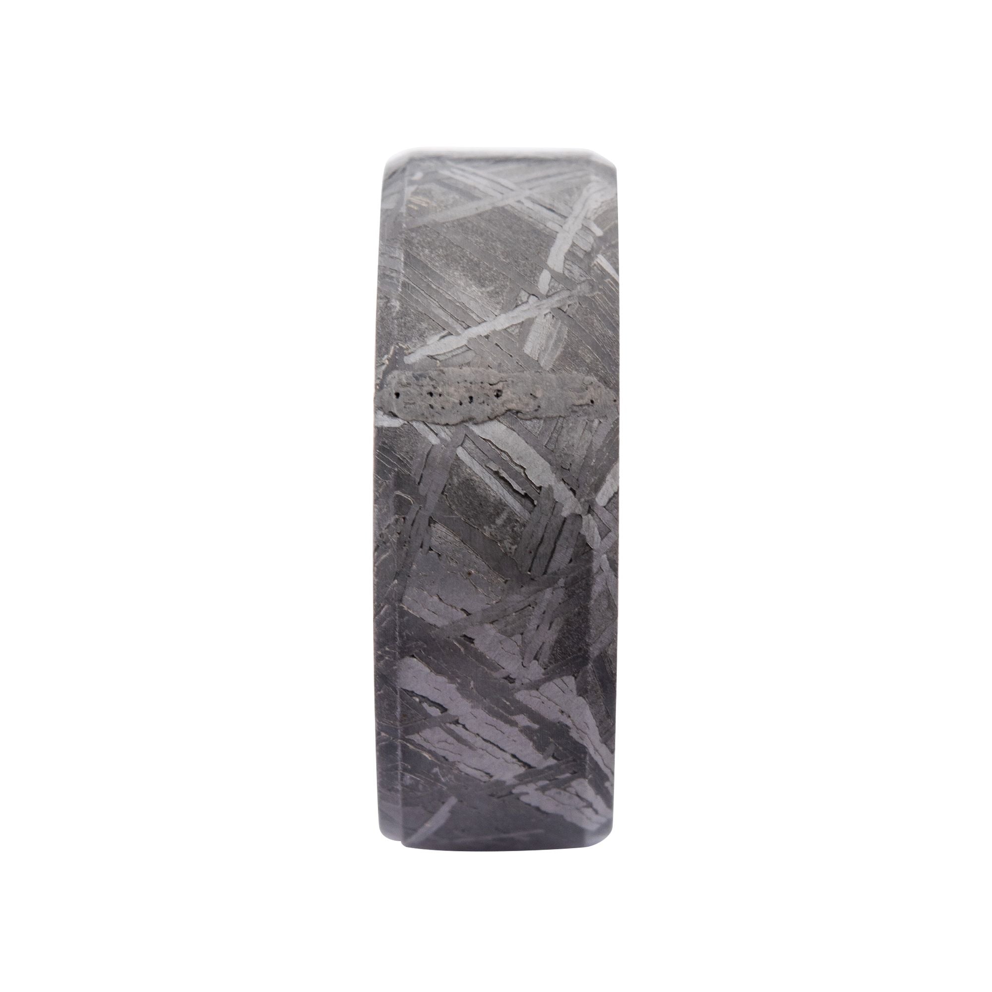 Solid Meteorite Inlay Black Ip Ring (frmt1226k)