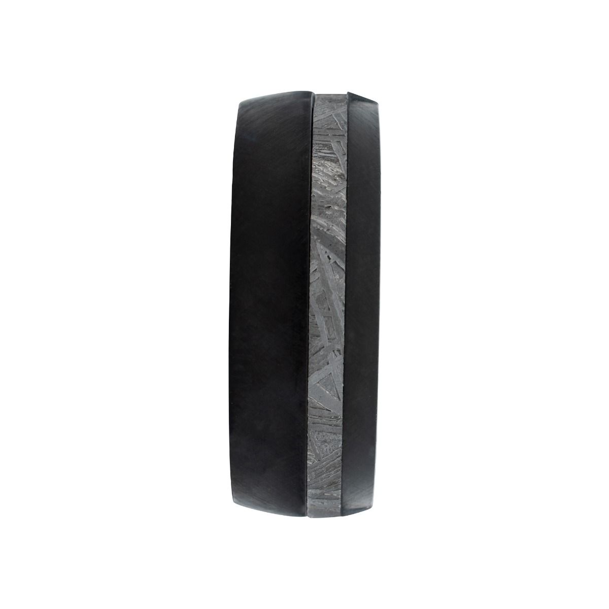 2mm Meteorite Inlay Black Ip Ring (frmt1376k)